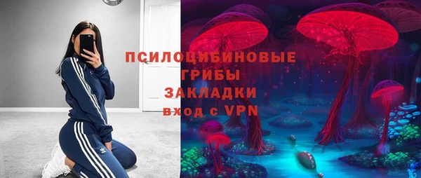 стаф Дмитров