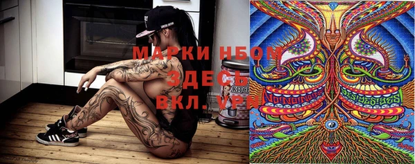 таблы Дмитриев