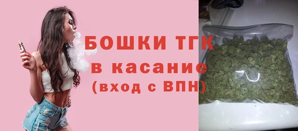 стаф Дмитров
