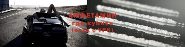 стаф Дмитров