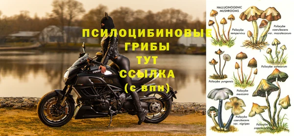 таблы Дмитриев