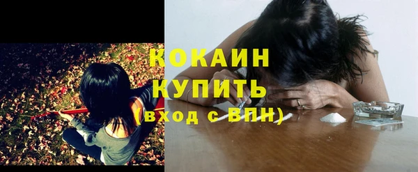 стаф Дмитров
