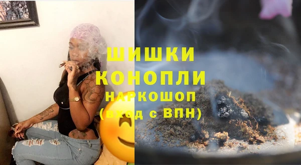 стаф Дмитров