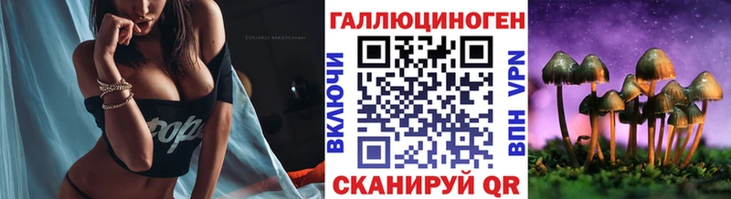 это клад  Новый Оскол  Галлюциногенные грибы мицелий  кракен как войти 